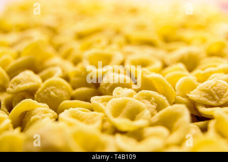 Close-up di orecchiette, semola di grano duro di pasta fatta uno per uno a mano in modo tradizionale nella regione italiana di Bari. Foto Stock