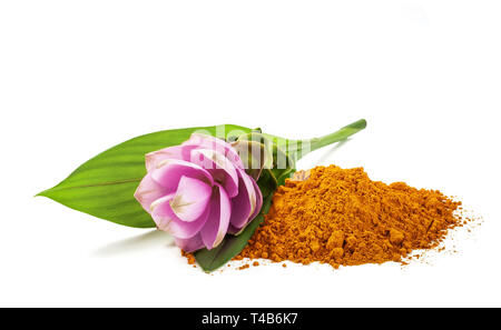 Curcuma fiore e polvere isolata su bianco Foto Stock