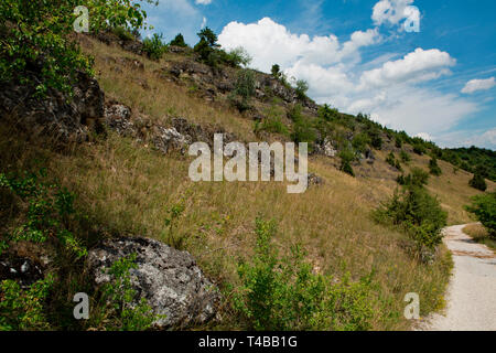 Asciugare la prateria Kallmuenz, Baviera, Germania, Kallmünz, Kallmunz Foto Stock