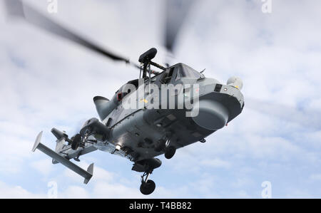 Royal Navy, Wildcat elicottero d'assalto di 815 Naval Air Squadron Foto Stock