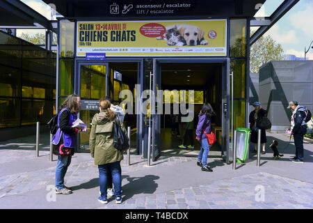 Cani e gatti Show - Parigi - Francia Foto Stock