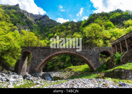 Ponte di pietra sul piccolo fiume di montagna, foresta verde in background Foto Stock