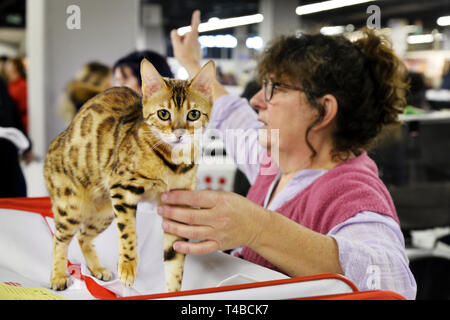Cani e gatti Show - Parigi - Francia Foto Stock