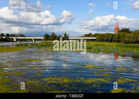 Fiume Nogat, Malbork, Pommerania, Polonia Foto Stock