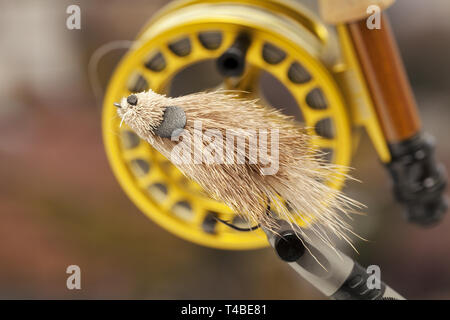 Fly fishinig, Costruzione mosche ganci close up Foto Stock