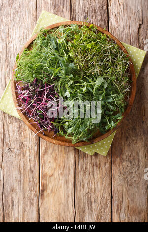 In casa microgreen fresco da piselli, il coriandolo, la senape, il ravanello di close-up su una piastra su un tavolo di legno. Verticale in alto vista da sopra Foto Stock