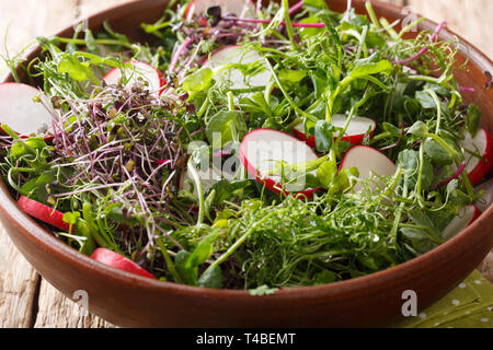 Deliziosa insalata di rafano con microgreen mescolare in una ciotola sul tavolo orizzontale. Foto Stock