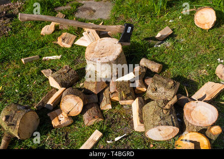 Energia Sostenibile nel Regno Unito: Softwood logs al di fuori di un cottage in west wales, pronto per essere tagliate in pezzi di legna da ardere per stufa a legna. Foto Stock