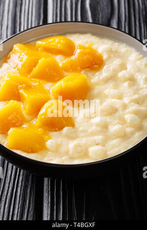 Dolce budino di tapioca con latte di cocco e mango fresco close-up in una ciotola sul piano verticale. Foto Stock