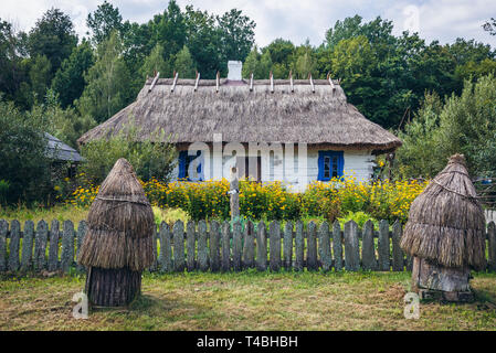 Casa in legno con tetto di paglia in Bialowieskie Siolo inn di Budy village, Voivodato Podlaskie in Polonia Foto Stock