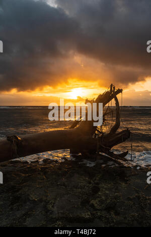 Alba sull'oceano di Waipouli Costa, Kauai, Hawaii Foto Stock