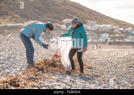 Persone che volontariamente si parte in una spiaggia e il fiume pulito , il prelievo di plastica e di altri tipi di rifiuti, organizzato da Aberystwyth Beach Buddies / Gwerin Glannau y su Aberystwyth South Beach, Wales UK Foto Stock
