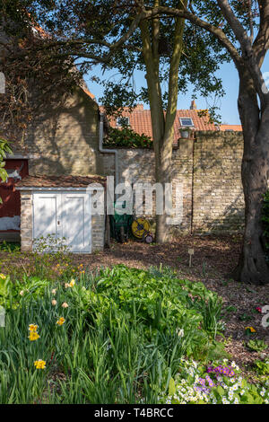 Gravelines, Dipartimento Nord, Francia, 26 marzo 2019, vista generale, piccolo giardino murato, colori primaverili © Peter Spurrier, Foto Stock