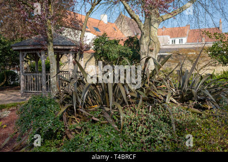 Gravelines, Dipartimento Nord, Francia, 26 marzo 2019, vista generale, piccolo giardino murato, colori primaverili © Peter Spurrier, Foto Stock