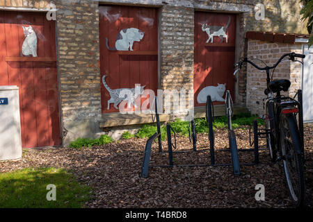 Gravelines, Dipartimento Nord, Francia, 26 marzo 2019, vista generale, piccolo giardino murato, colori primaverili © Peter Spurrier, Foto Stock