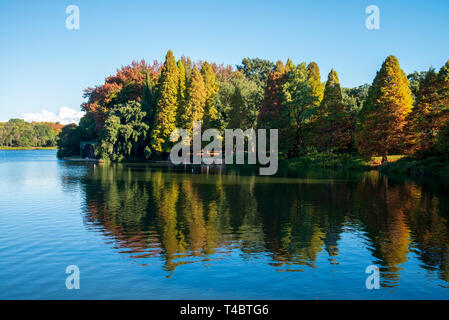 Johannesburg, Sud Africa, 15 aprile 2019. Foglie di autunno e il blu del cielo illuminano Emmarentia Dam, lunedì pomeriggio. Credito: Eva-Lotta Jansson/Alamy Foto Stock