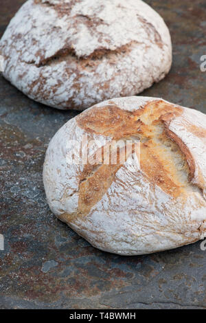 Bianco pane di pasta acida e il farro e segale Sourdough sull'ardesia Foto Stock