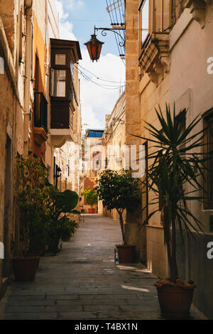 Bellissima vista della stretta strada medievale di Mdina, antica capitale di Malta, città medievale fortificata. Popolare destinazione turistica e di attrazione Foto Stock