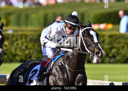 Hot Springs, Arkansas, Stati Uniti d'America. 16 Mar, 2019. Marzo 16, 2019: a lungo raggio Toddy con jockey Jon Kenton Corte per il ribelle Stakes gara a Oaklawn Park il 16 marzo 2019 in Hot Springs, Arkansas. (Foto di Ted McClenning/Eclipse Sportswire/Cal Sport Media) Credito: csm/Alamy Live News Foto Stock