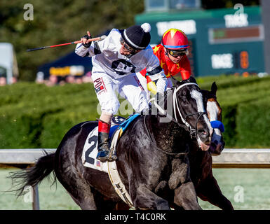 Hot Springs, Arkansas, Stati Uniti d'America. 16 Mar, 2019. Marzo 16, 2019: a lungo raggio Toddy #2, guidato da Jon corte, vince la prima divisione dei ribelli di picchetti su picchetti ribelle giorno a Oaklawn Park in Hot Springs, Arkansas. Carolyn Simancik/Eclipse Sportswire/CSM/Alamy Live News Foto Stock