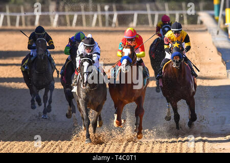 Hot Springs, Arkansas, Stati Uniti d'America. 16 Mar, 2019. Marzo 16, 2019: a lungo raggio Toddy con jockey Jon Kenton Corte vince il primo dei due picchetti di ribelli gara a Oaklawn Park il 16 marzo 2019 in Hot Springs, Arkansas. (Foto di Ted McClenning/Eclipse Sportswire/Cal Sport Media) Credito: csm/Alamy Live News Foto Stock