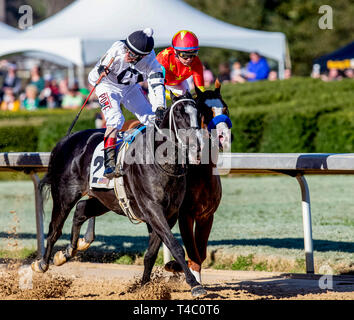 Hot Springs, Arkansas, Stati Uniti d'America. 16 Mar, 2019. Marzo 16, 2019: a lungo raggio Toddy #2, guidato da Jon corte, vince la prima divisione dei ribelli di picchetti su picchetti ribelle giorno a Oaklawn Park in Hot Springs, Arkansas. Carolyn Simancik/Eclipse Sportswire/CSM/Alamy Live News Foto Stock