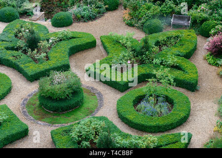 In Buchsbaum Formschnitt, Buchsbaumhecke, Buxus sempervirens Foto Stock