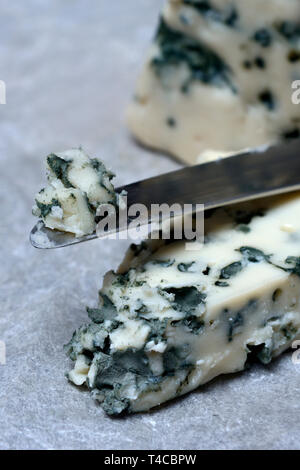 Il Roquefort, Blauschimmelkaese Foto Stock