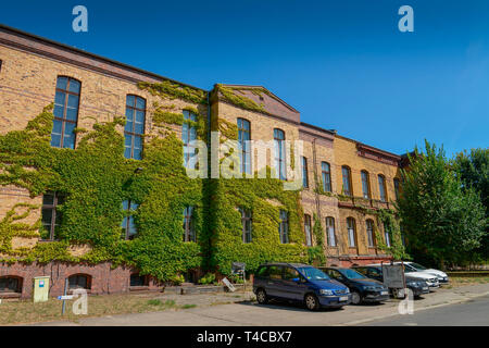 Haus 7, Bezirksamt Pankow, Froebelstrasse, Prenzlauer Berg, Pankow, Berlino, Deutschland, Fröbelstrasse Foto Stock