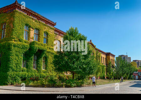 Haus 5, Bezirksamt Pankow, Froebelstrasse, Prenzlauer Berg, Pankow, Berlino, Deutschland, Fröbelstrasse Foto Stock