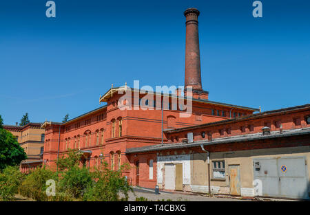 Haus 4, Bezirksamt Pankow, Froebelstrasse, Prenzlauer Berg, Pankow, Berlino, Deutschland, Fröbelstrasse Foto Stock