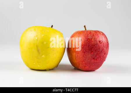 Vista ravvicinata di un rosso e giallo frutti di Apple su sfondo bianco Foto Stock