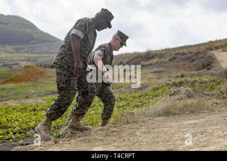 Stati Uniti Marine Corps Sgt. Il Mag. Ronald L. verde, a sinistra e a Sgt. Il Mag. James N. Calbough, destra, camminate fino a una spiaggia su Iwo, Giappone Marzo 23, 2019. La 74a riunione di onore cerimonia ricorda i veterani che hanno lottato per i loro rispettivi paesi su Iwo per la santificò terra. Il loro sacrificio ha ispirato la pace, la sicurezza e la stabilità nella regione Indo-Pacifico. Verde, nativo di Jackson, in Mississippi, è il sergente maggiore dei Marine Corps. Calbough, nativo di Trenton, Michigan, è il sergente maggiore della terza Marine Logistics Group. Foto Stock