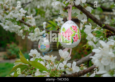 Decorativo uovo di pasqua appeso alla fioritura ciliegio con fiori di colore bianco. Pasqua sfondo banner Foto Stock