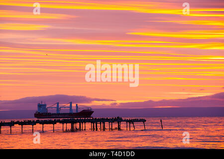 Alba a Punta Arenas, Cile. Foto Stock