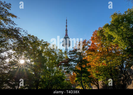 Torre di Seoul e foglie colorate a Seoul, Corea del Sud Foto Stock