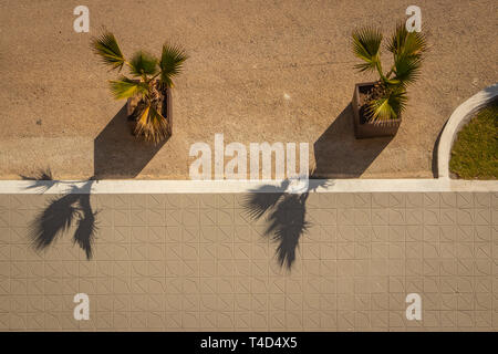 Guardando verso il basso sulla pavimentazione e palme in vaso da un hotel balcony Foto Stock