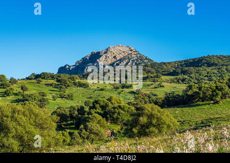 Paesaggio vicino a Ubrique, Cadice. Spagna, Andalusia nel parco di Alcornocales Foto Stock