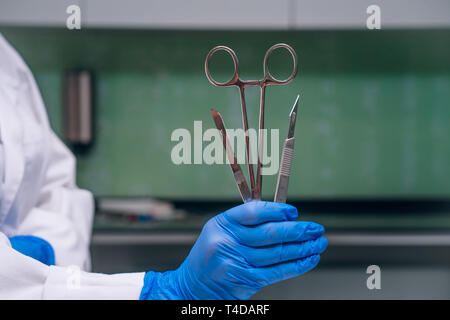 Una gomma guanti contiene due bisturi e un morsetto Foto Stock