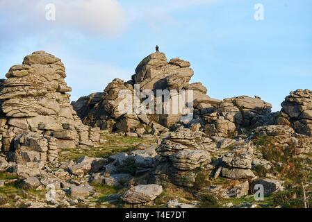 Vista del Hound Tor, Dartmoor, Regno Unito Foto Stock