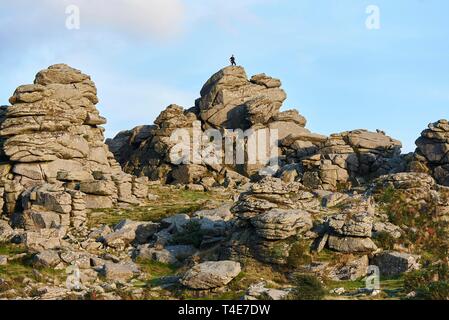 Vista del Hound Tor, Dartmoor, Regno Unito Foto Stock