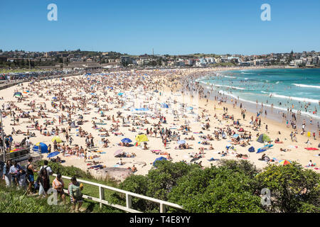 La spiaggia di Bondi, Sydney, NSW, Australia Foto Stock