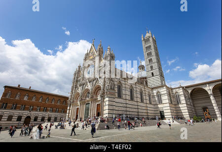 SIENA, Italia, 14 Giugno 2016 : esterni ed i dettagli architettonici del Duomo, Cattedrale di Siena, 14 giugno 2016 a Siena, Italia Foto Stock