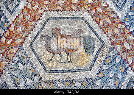 Iii secolo d.c. mosaico romano pannello di due polli da Thugga, Tunisia. Il Museo di Bardo, Tunisi, Tunisia. Foto Stock