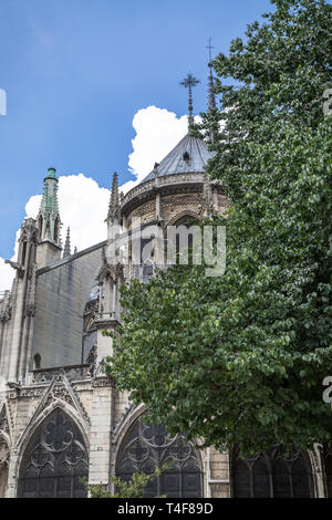 Parigi Storica opinioni con la cattedrale di Notre Dame de Paris e alcuni altri religiosi e architetture tipiche Foto Stock