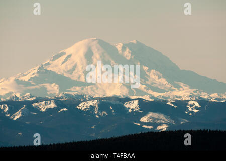 Mt Rainier visto dalla cresta di missione circa 69 miglia a nordest durante l'inverno appare molto grandi a causa della relativamente bassa terre che circondano il picco. Foto Stock