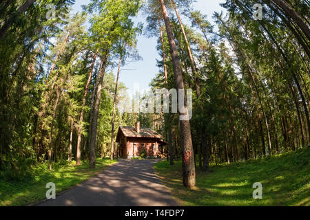 Casa in legno in una foresta di pini su un giorno di estate Foto Stock