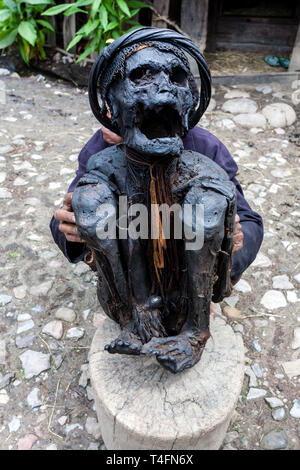 Wamena, Indonesia - 9 Gennaio 2010: il vecchio uomo da Dani tribù tenendo la mummia di un villaggio sambuco. Dugum Dani Village. Il Baliem Valley Papua, Irian Jaya. Foto Stock