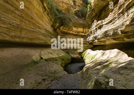 Letto asciutto del fiume nella sezione ristretta di Ol Njorowa gorge, Hells Gate National Park, Kenya Foto Stock