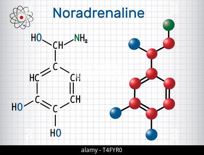 La noradrenalina (NA, norepinefrina , NE ) molecola . È un ormone e neurotrasmettitore. Formula chimica di struttura e la molecola modello. Foglio di p Illustrazione Vettoriale